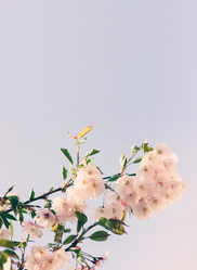 Similar image 21386682