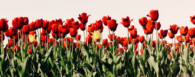 Similar image 21386684