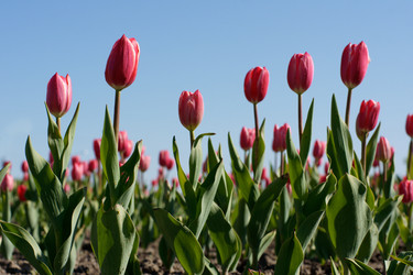 Similar image 21386687