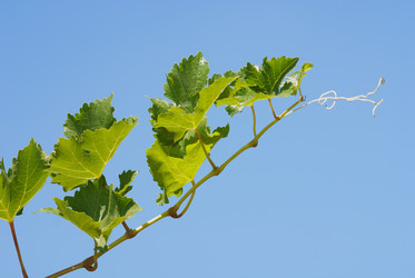 Similar image 21386688