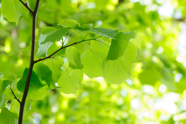 Similar image 21386694