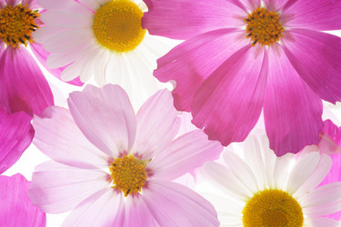 Similar image 21386697