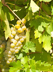 Similar image 21386698