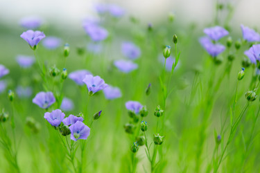 Similar image 21386700