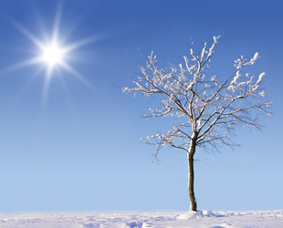 Similar image 21386702