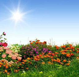 Similar image 21386705