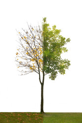 Similar image 21386707