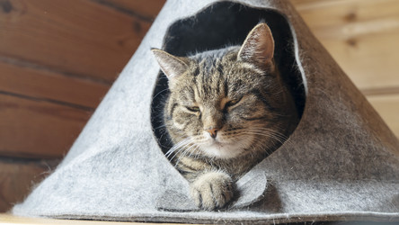 Similar image 21424744