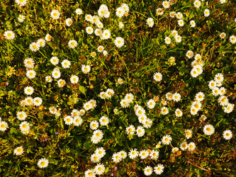 Similar image 21415545