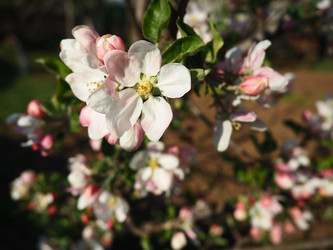 Similar image 21415547