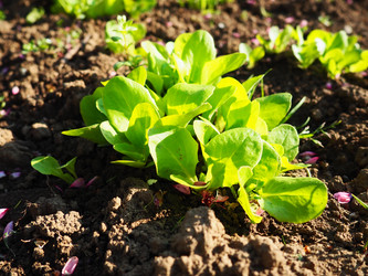 Similar image 21415550