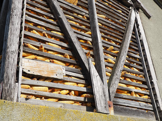 Similar image 21415566