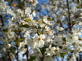 Similar image 21415570