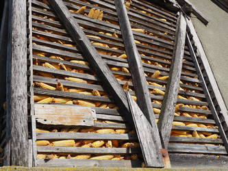 Similar image 21415914