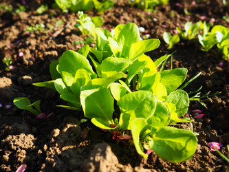 Similar image 21405392