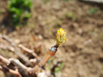 Similar image 21405394