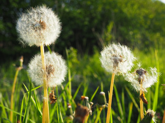 Similar image 21405395