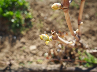 Similar image 21405396