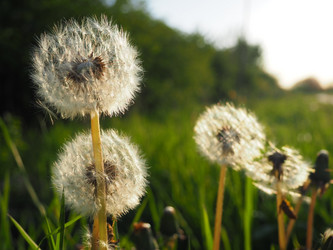 Similar image 21405398