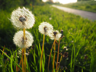 Similar image 21405698