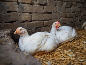 Similar image 21405699