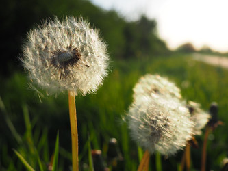 Similar image 21405703