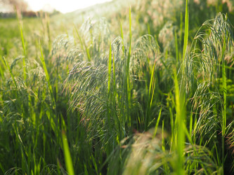 Similar image 21405704