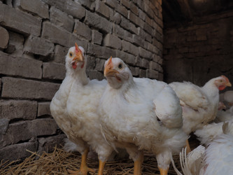 Similar image 21405705