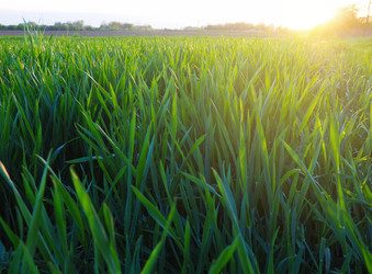 Similar image 21405792