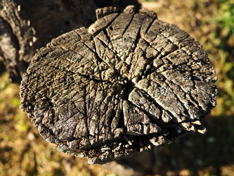 Similar image 21405795