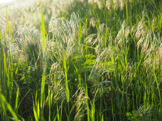 Similar image 21405797