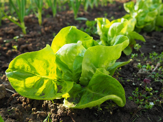 Similar image 21405877