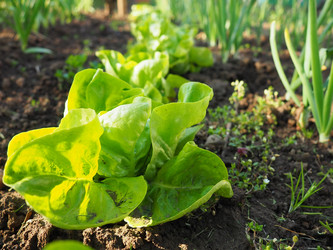 Similar image 21405879