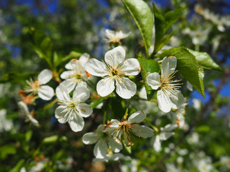 Similar image 21405880