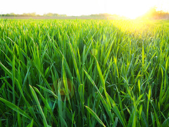 Similar image 21406088