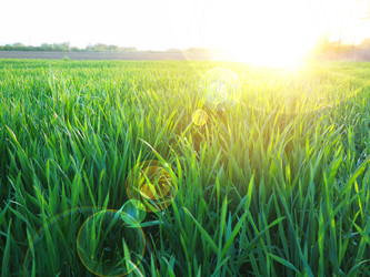 Similar image 21415585