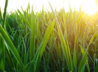 Similar image 21415590