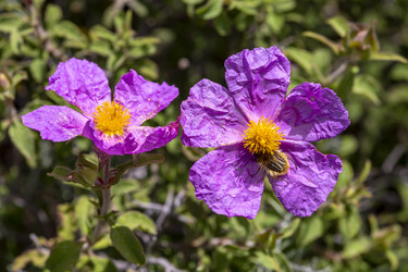 Similar image 21420494