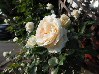 Similar image 21404258