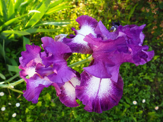 Similar image 21404259