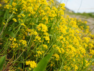 Similar image 21404260