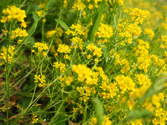 Similar image 21404261