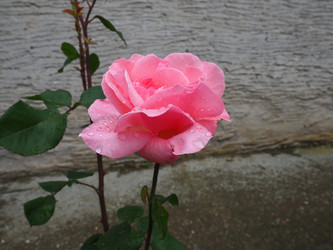 Similar image 21404262