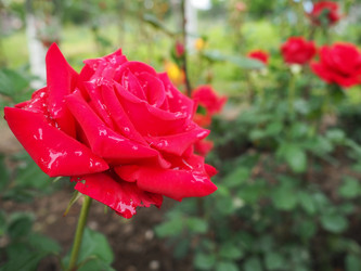 Similar image 21404437