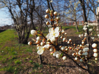 Similar image 21404441