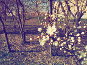 Similar image 21404444