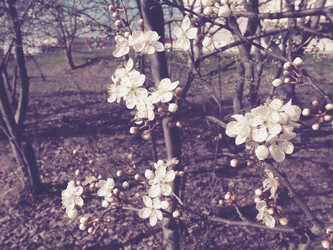 Similar image 21405211