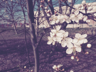 Similar image 21405399