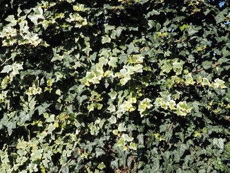 Similar image 21405403