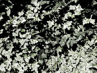 Similar image 21405404